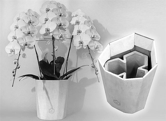 コチョウランのtwitterイラスト検索結果 古い順