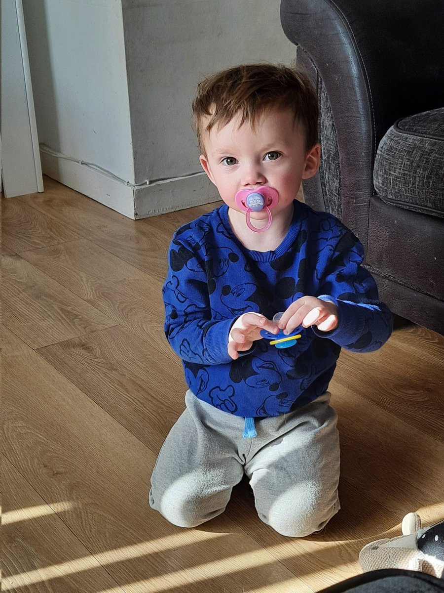 AlbanationSimon's tweet photo. Another week of babysitting the wee monsters over. https://t.co/4ALd4DB8Ei