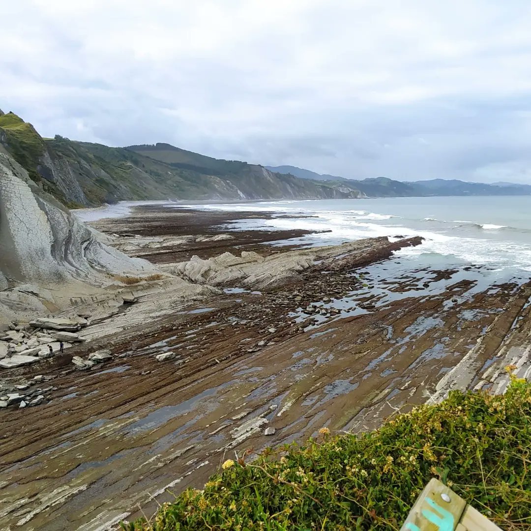 AlgorriZumaia's tweet photo. Zurriola ikastolako DBH 4. mailako ikasleekin harraldeko ekosistema eta inguruko geologia aztertu ditugu gaurkoan. Oso gustora beti bezala!!
@ZurriolaIkastol 
#Algorri
#Zumaia 
#Geoparkea https://t.co/yWhQhwnSg6