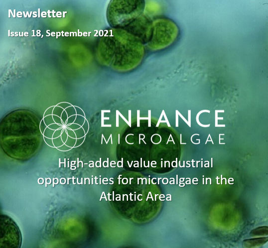 Newsletter - Issue 18, September 2021 - mailchi.mp/6aa279761333/e…