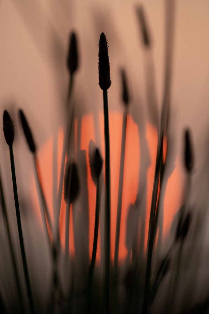 Platte Basin Timelapse tweet media