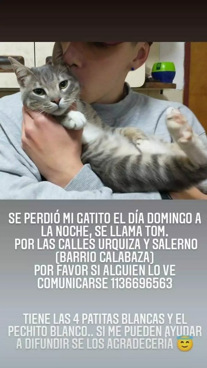 🙏 <a href="/camologroco/">el que te jedi</a>