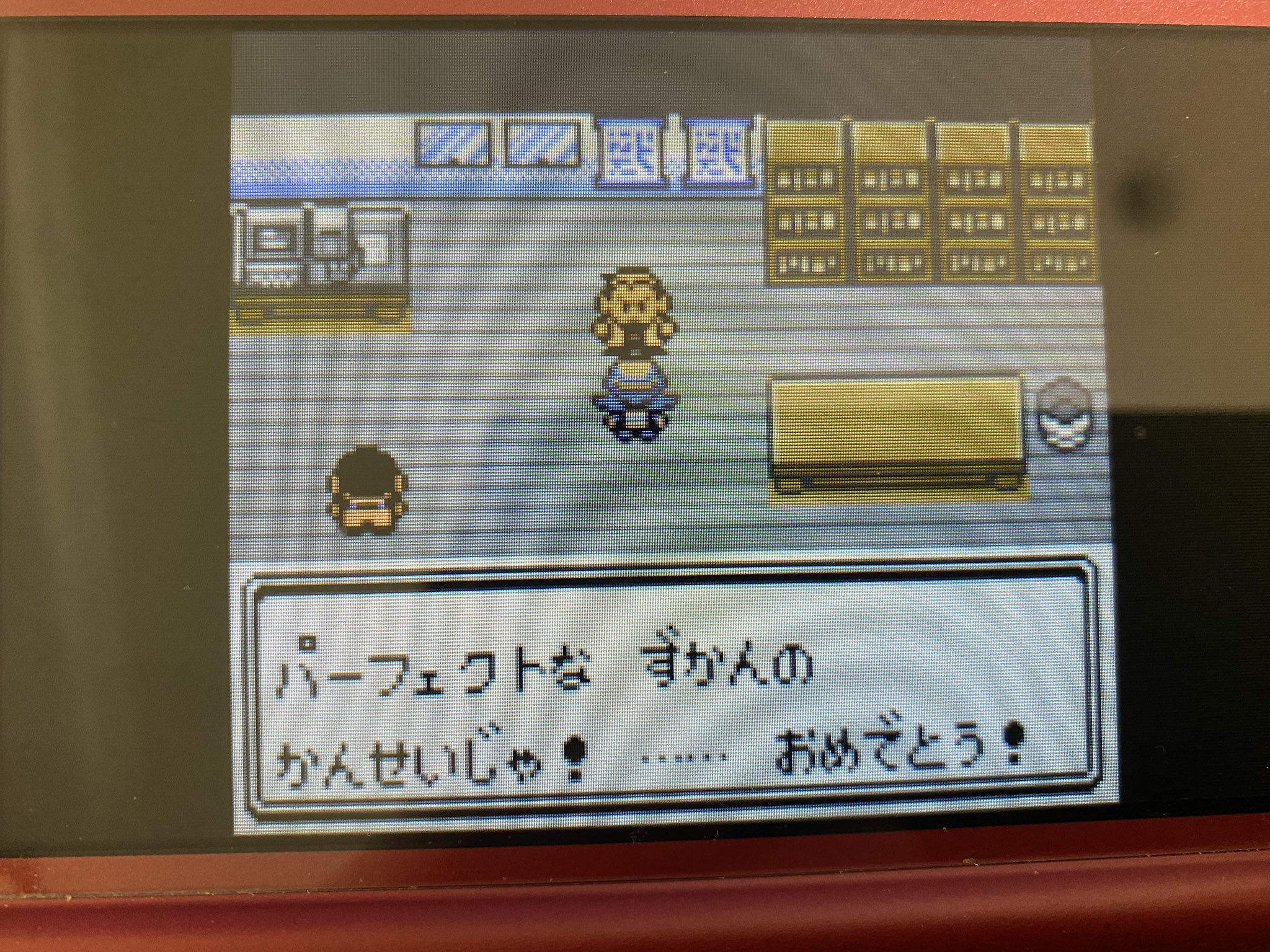 ポケモンvc Twitter Search Twitter