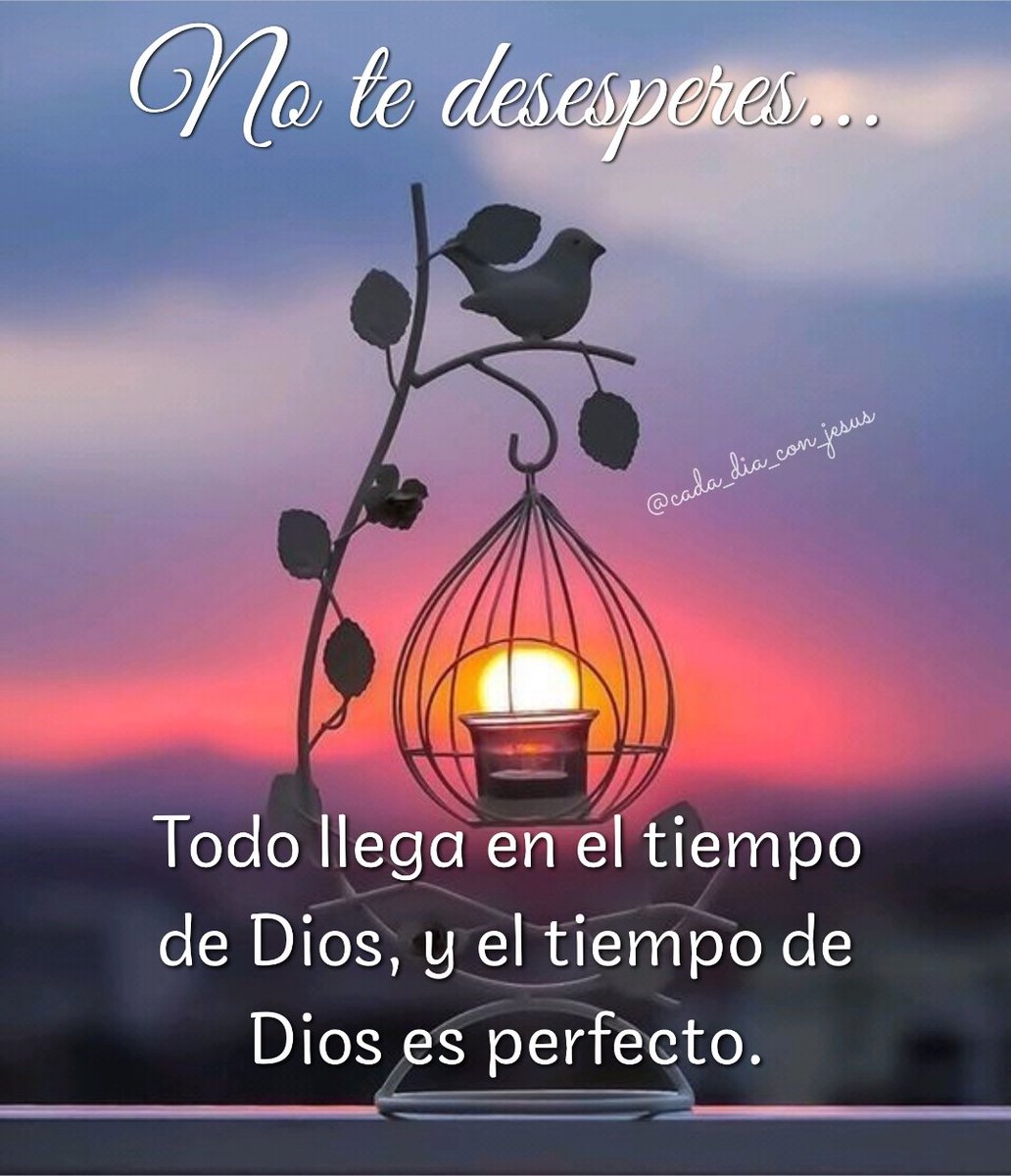 CadadiaConjesus's tweet photo. No te desesperes...
Todo llega en el tiempo de Dios, y el tiempo de Dios es perfecto 

Instagram 👉 @cada_dia_con_jesus 

Mi codigo de kwai 👉 711192485

https://t.co/0TQNMiEVsR

#Biblia #PalabradeDios #amor #frases #soycristiana #orar https://t.co/qrqzxyNm14