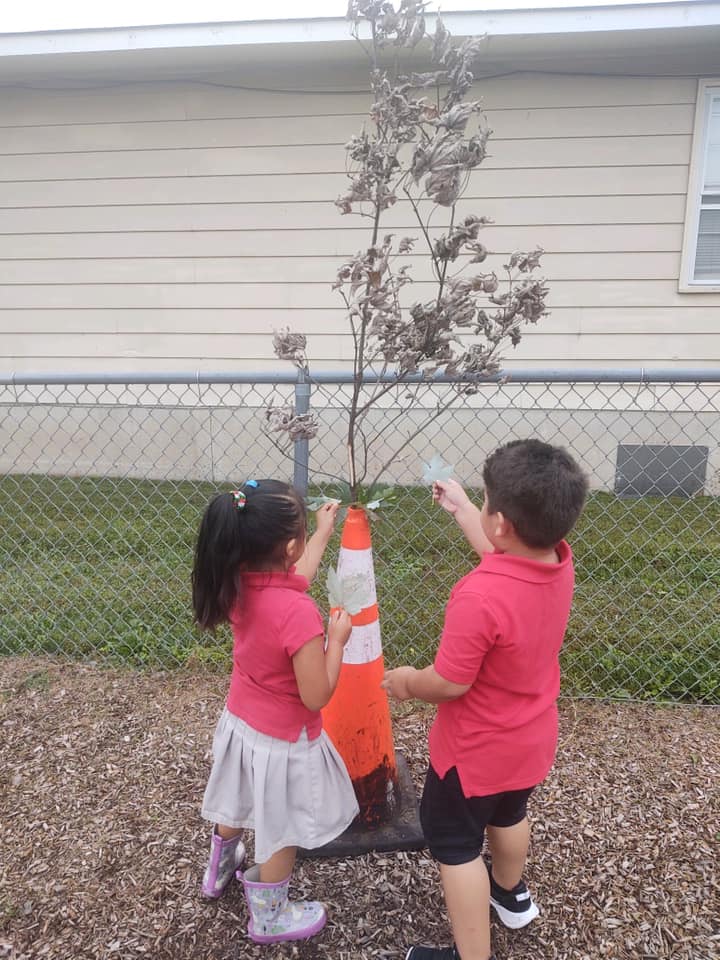 MymcpsvaPreK's tweet photo. When we are learning about trees we get to use some of our senses: tree scavenger hunt 👀🌲, apple tasting 👄🍎🍏, and bark smelling 👃🥥 . #plantatree #treesareimportant #environment https://t.co/y1qpeNKdaX https://t.co/ms0fpRLSrR