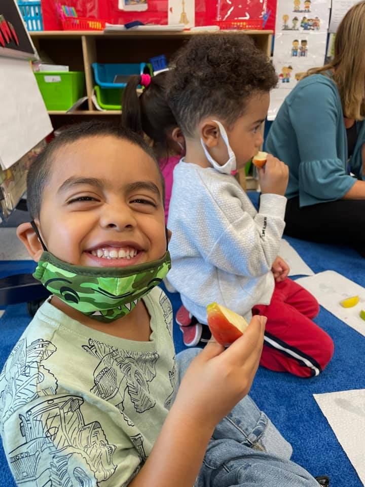 MymcpsvaPreK's tweet photo. When we are learning about trees we get to use some of our senses: tree scavenger hunt 👀🌲, apple tasting 👄🍎🍏, and bark smelling 👃🥥 . #plantatree #treesareimportant #environment https://t.co/y1qpeNKdaX https://t.co/ms0fpRLSrR