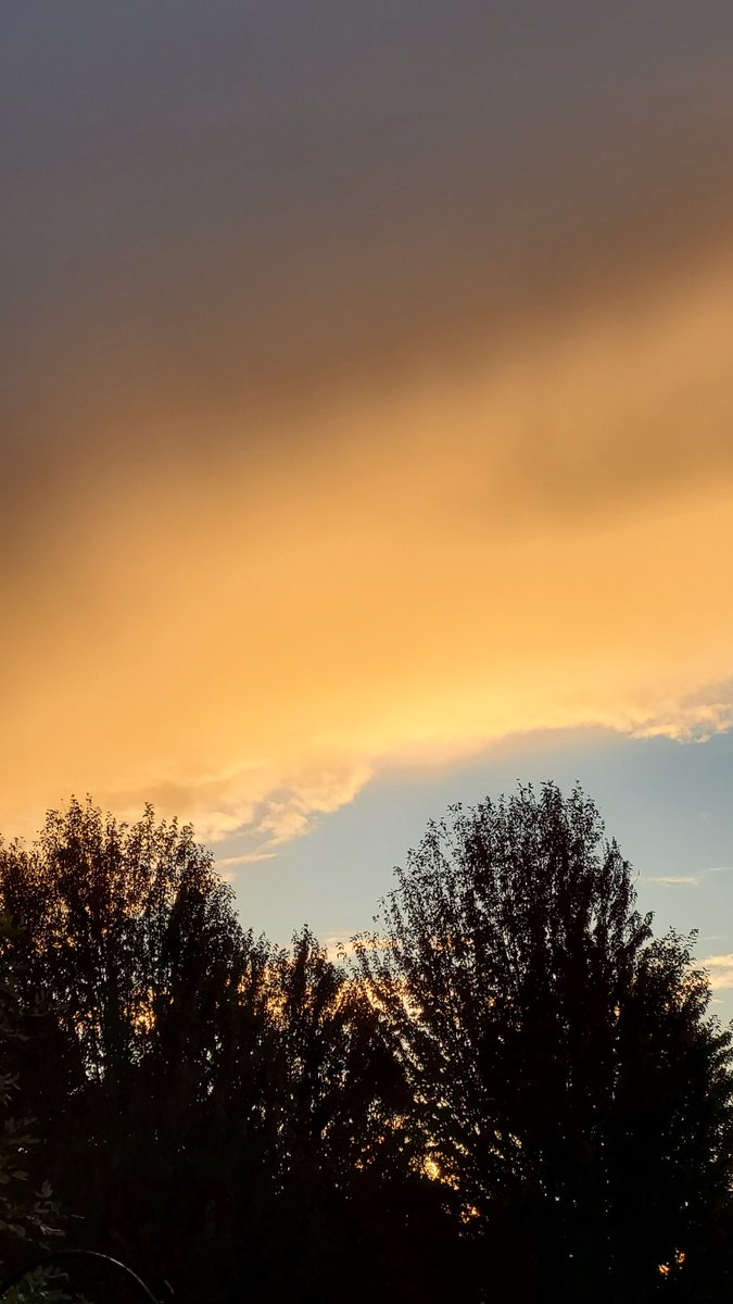 tommegma's tweet photo. Wonderful skies today, such a shame I can't take pictures whilst driving! These were taken walking at CASEE and from my backyard.
The first two are looking left then right in the same spot.

@NatashaKOIN6
@JosephForecast 

#weather #clouds #pnw https://t.co/e1Igk3Xrp6