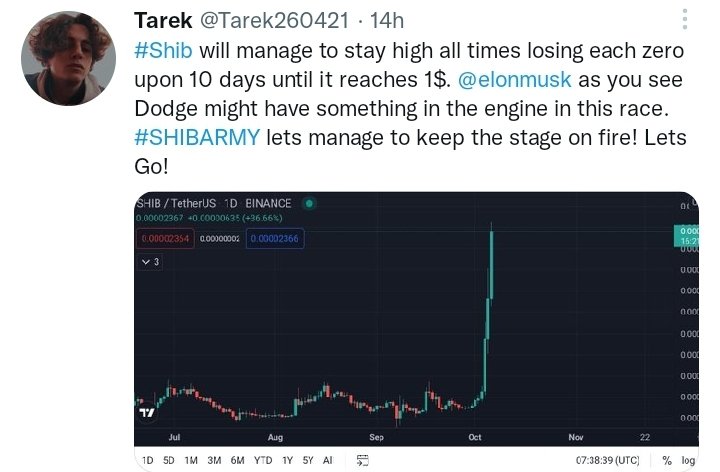 Tarek260421's tweet photo. @shibaa_token https://t.co/a15lEjl8Mo