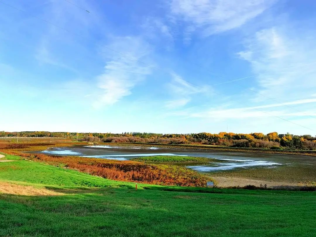 Neepawa Tourism tweet media