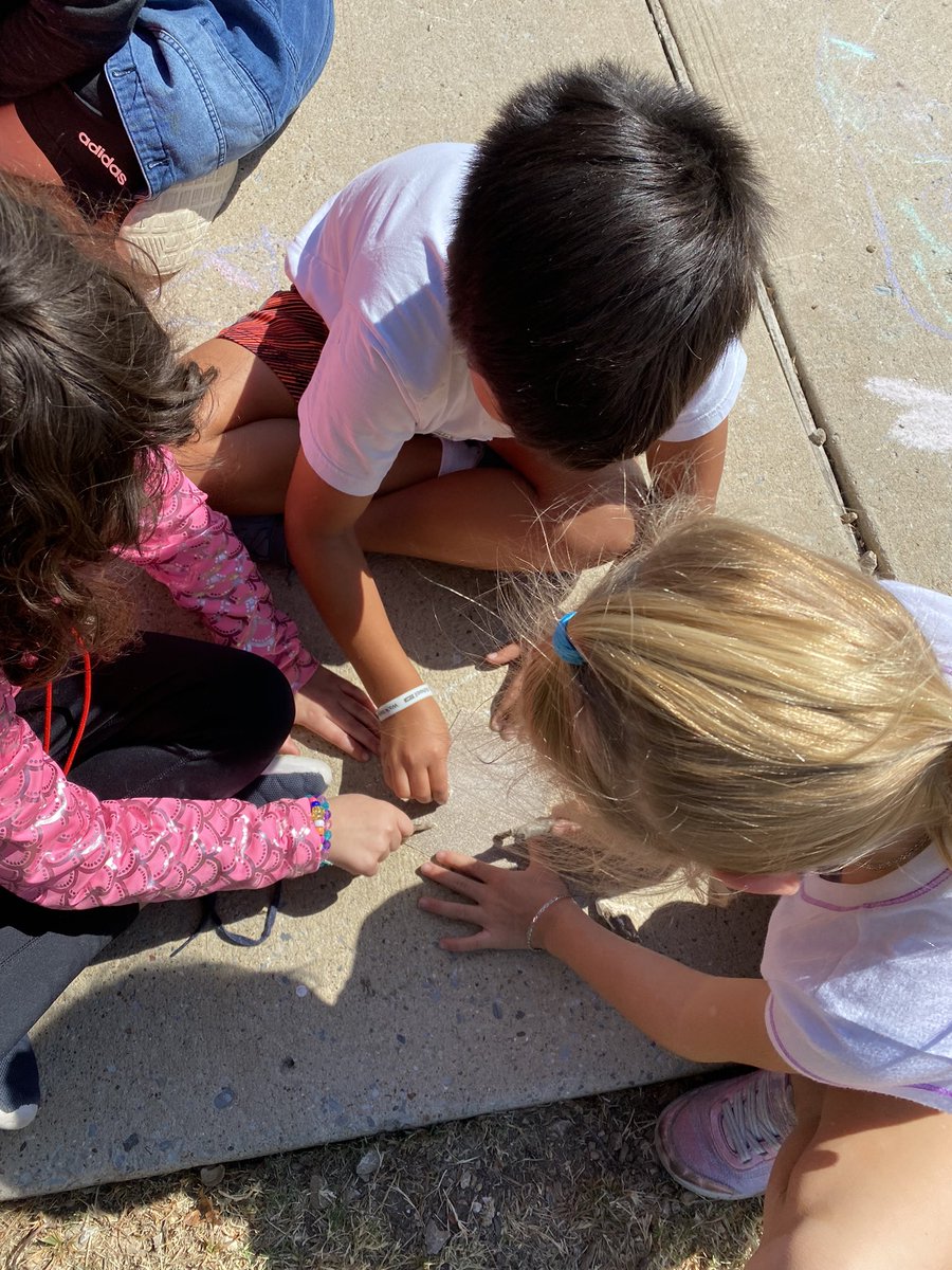 MrsSand0val's tweet photo. Today we went outside to see how the physical properties of the stick changed when being sanded! #RogersElementary @RogersFrisco https://t.co/tJF8R9jbsj