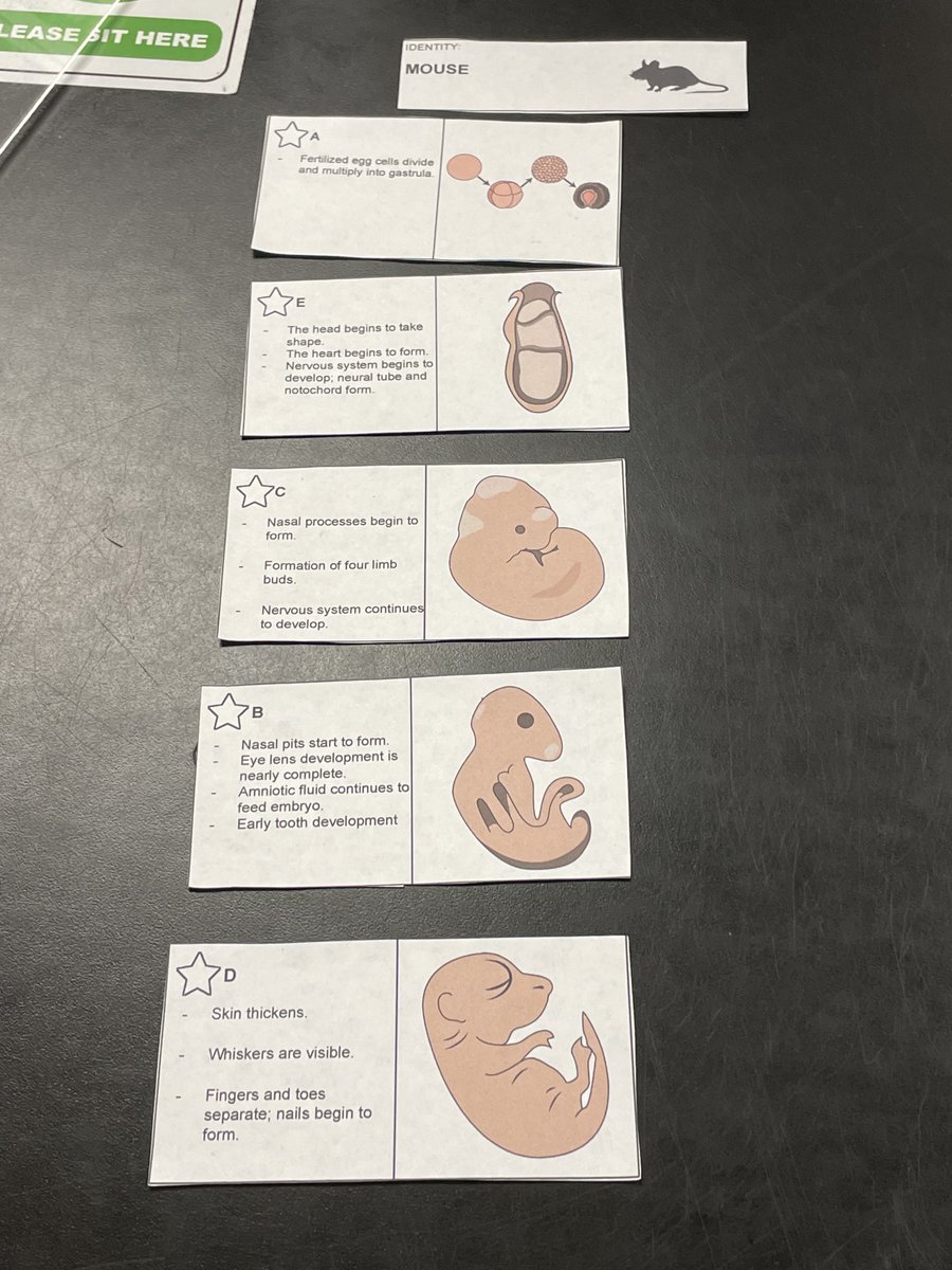 Organizing Embryos with Mrs. Salgado's science class. #ProudToBePUSD #DisciplinaryLiteracy #CollaborationCommunicationCriticalThinking