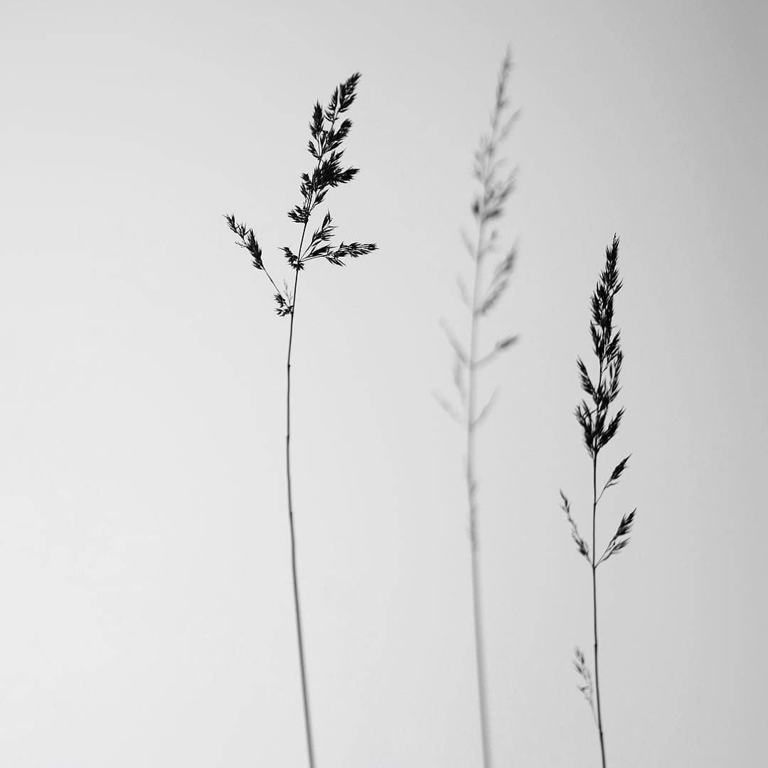 Leylakaramn's tweet photo. Ritim #minimalist #blackanwhite #canonphotography https://t.co/xijE7aRglO