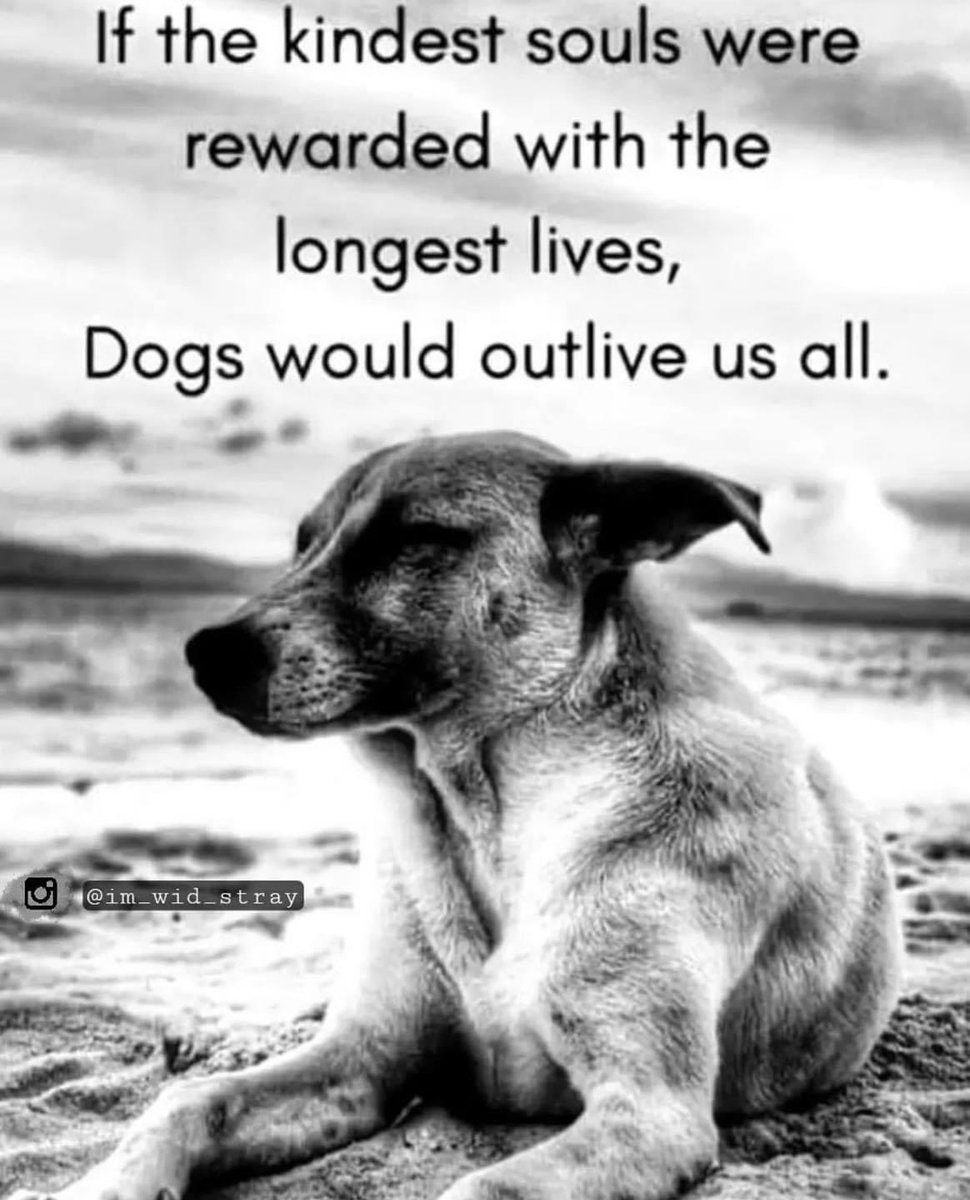 Chevous's tweet photo. @rickygervais https://t.co/tJtspFmyoe