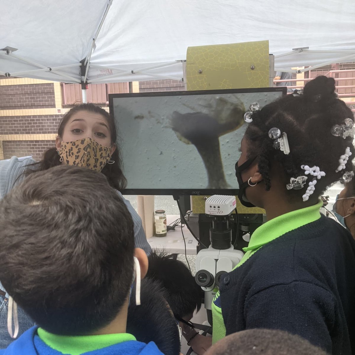 BioBus's tweet photo. Today was our first BioBus school visit IN PERSON since March 2020 and it feels so good to be BACK! 🙌🏽🚌🔬👩🏽‍🔬 Thank you to @ps4_ellington for hosting us and letting us turn your school yard into a microscope laboratory! #mobilelaboratory #Microscope #STEMeducation #ScienceForKids https://t.co/9MhxMUvX0V