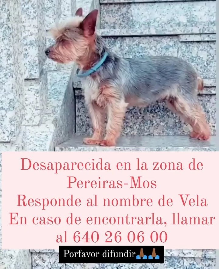 predatorsmafia's tweet photo. agradecemos un rt 🙏🏽 https://t.co/HQG9Dv9zhX