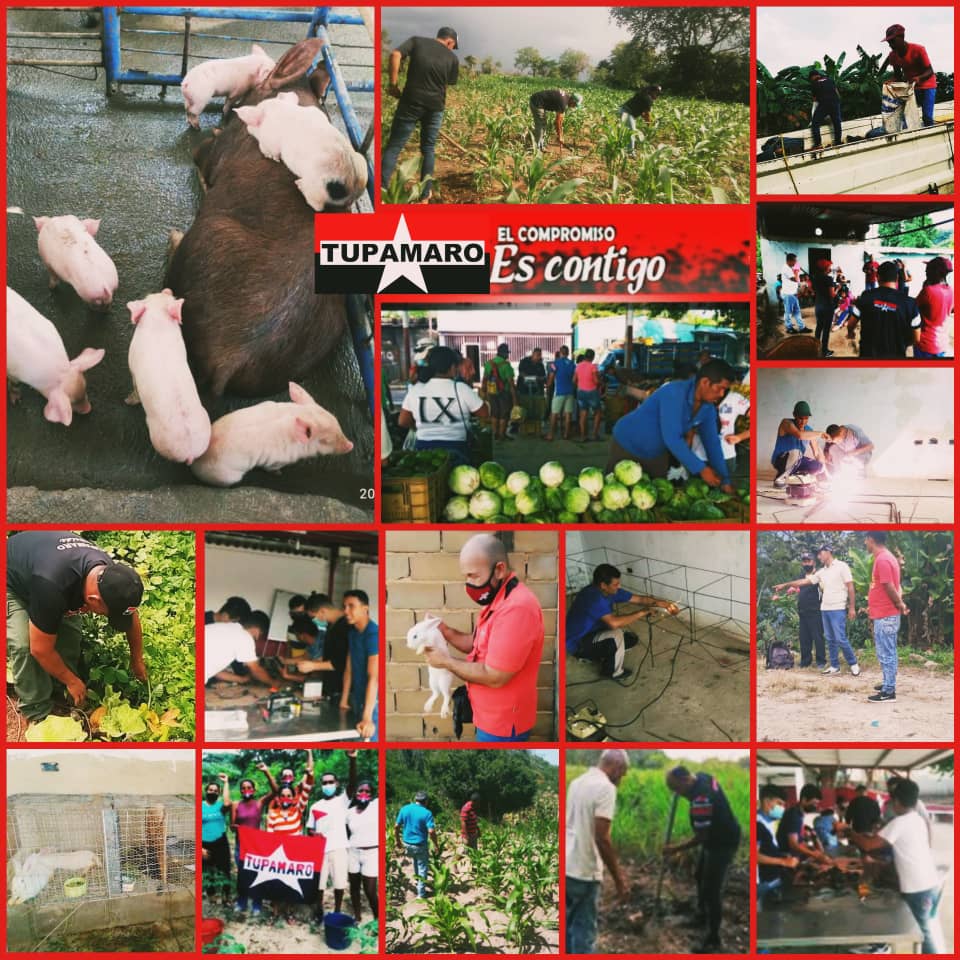 WBenavides_MRT's tweet photo. Estamos produciendo la nueva economía postcapitalista, socialista, comunitaria y solidaria; al tiempo que producimos el conocimiento y conceptos para que sea posible la vida de todos incluyendo la vida de la naturaleza.

#ProducciónPopular
#TupamaroRebelde
#ProducciónEnMarcha https://t.co/M0nZyk22Pt