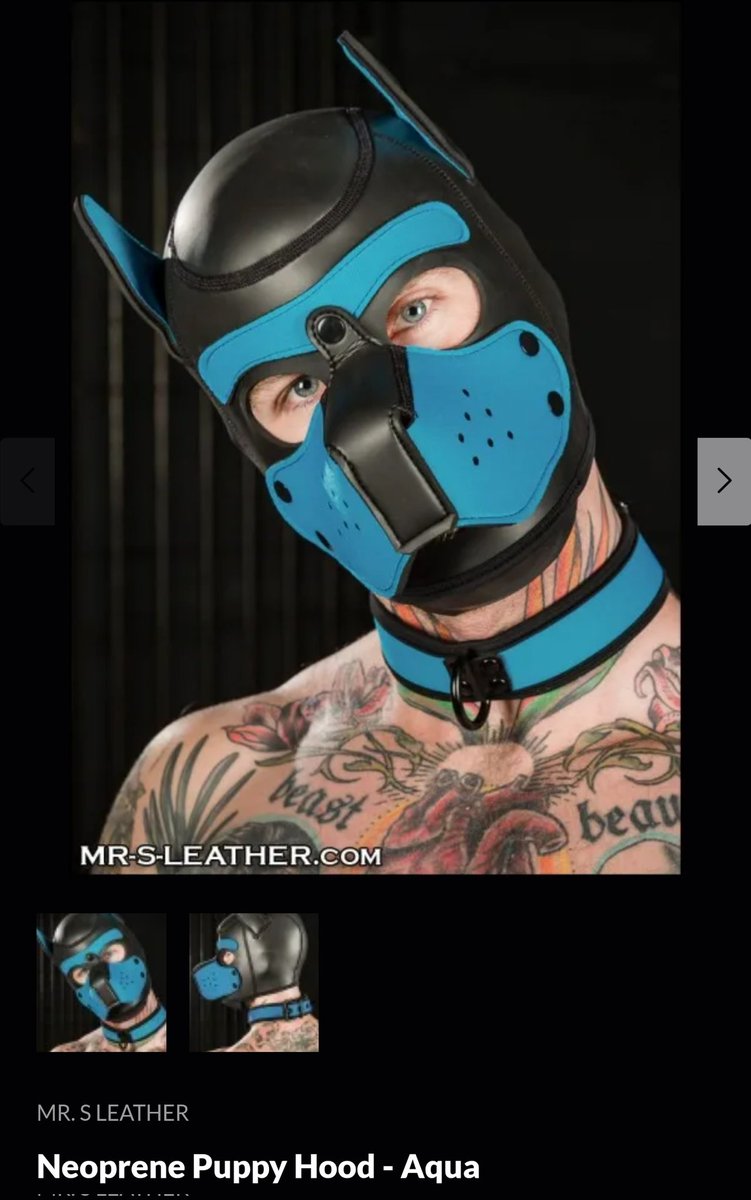 This is going to be the type of neoprene pup hood and you'll get to ch...