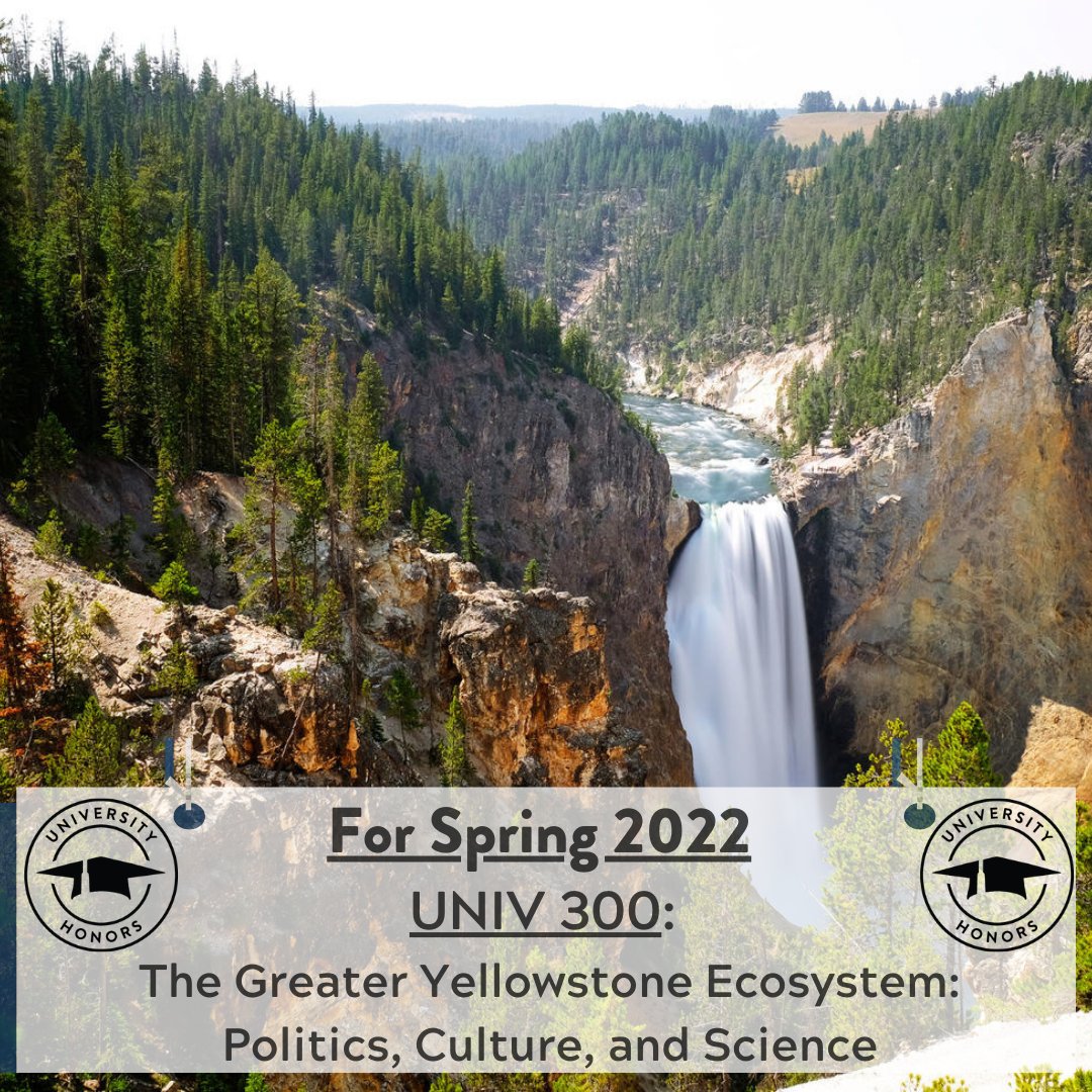 Have you ever wanted to travel for class credit? Are you a Nature lover? Look no further! ⛰

The University Honors Program is bringing back the UNIV 300 class, The Greater Yellowstone Ecosystem: Politics, Culture, and Science, for the Spring 2022 semester!
