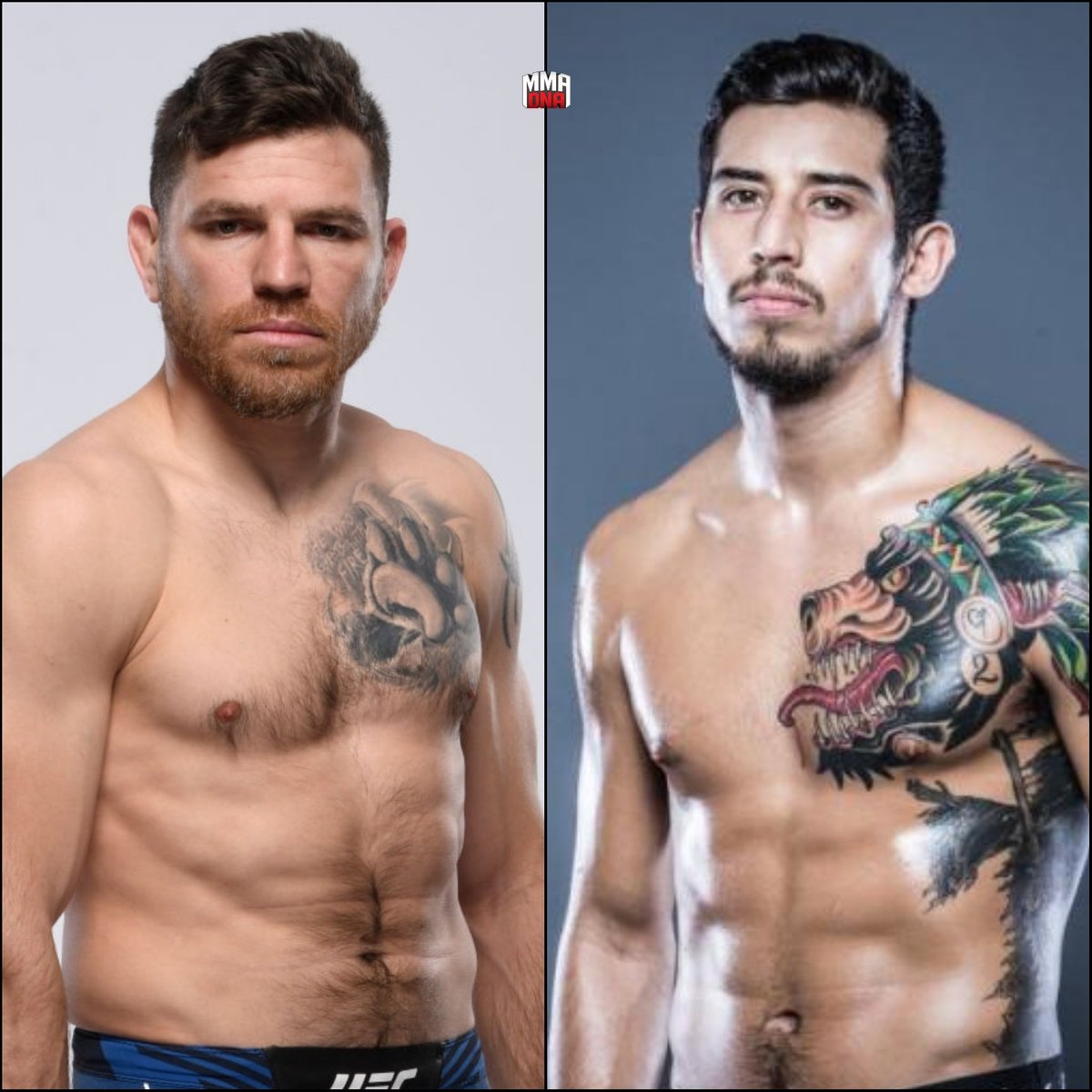 Marcel Dorff 🇳🇱🇮🇩 в Twitter: "Jim Miller will fight Erick Gonzalez at UFC event on October 16th. (per @Farah_Hannoun) #UFC #MMA #UFCESPN… "