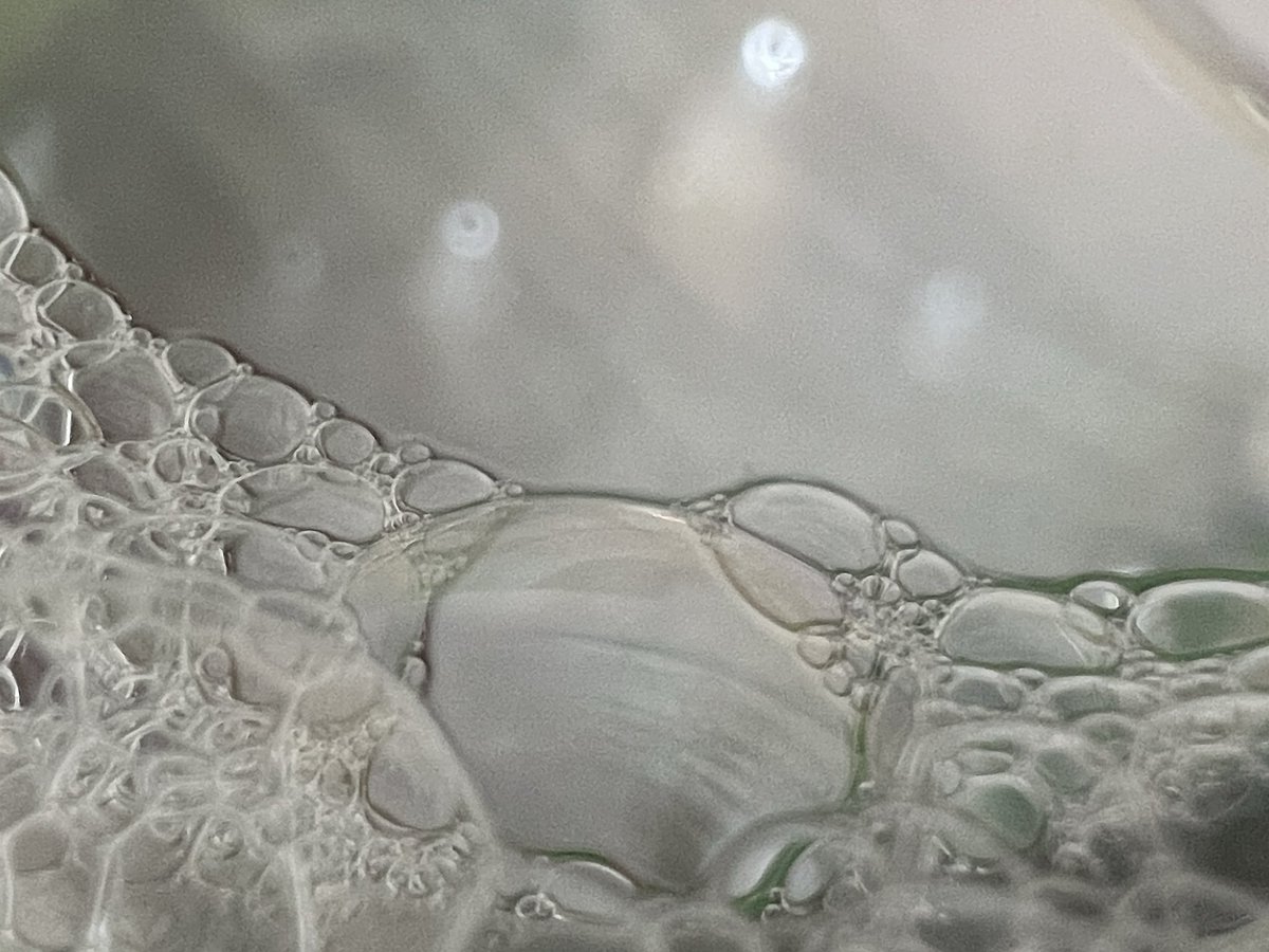 jimmygunawanapp's tweet photo. Newspaper Pulp and Soap Bubble #macro #HalideApp #NeuralMacro #iphone13pro https://t.co/3tInVuEuNE