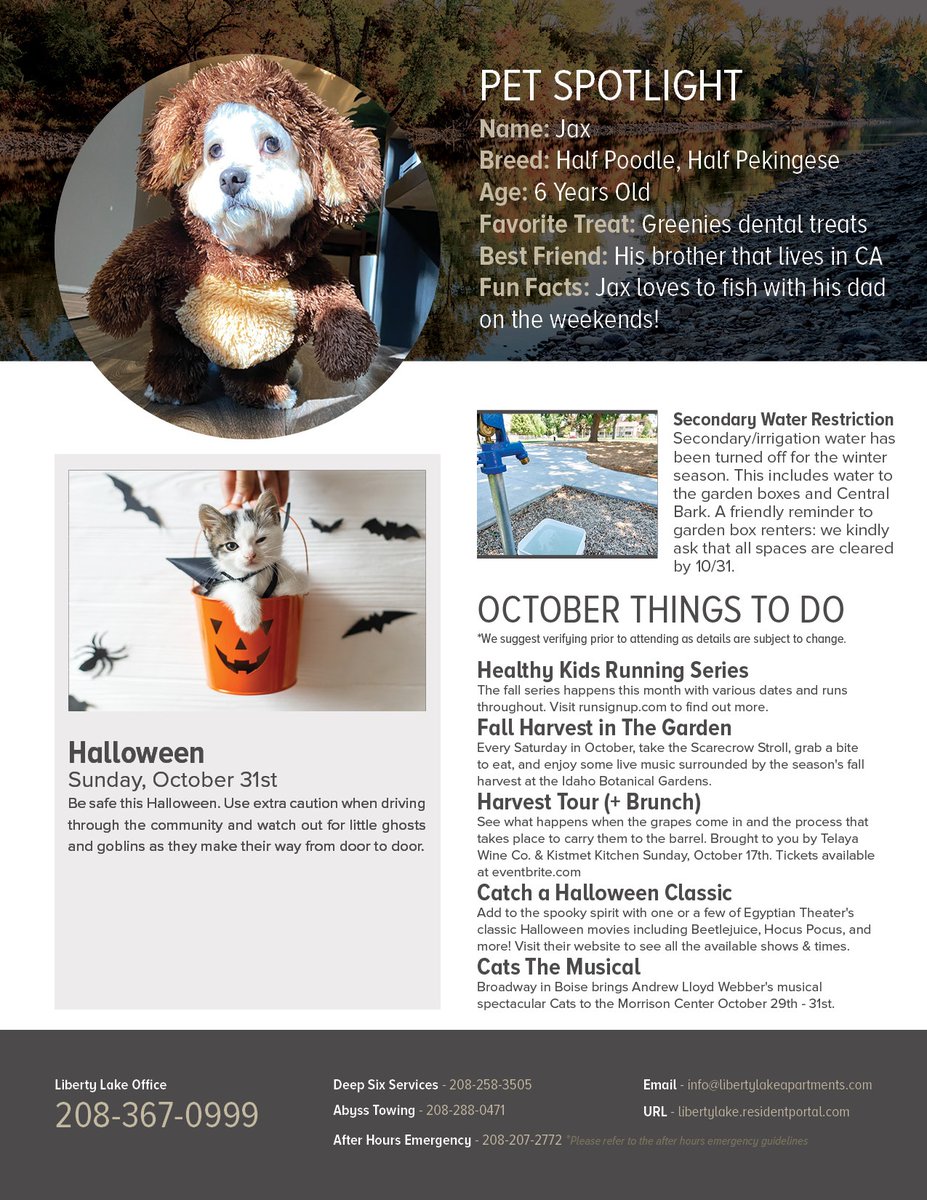 libertylakeapts's tweet photo. Spooktacular highlights and more in this month's community newsletter. Happy October! 🎃

#LLnews #community #news #newsletter #LLfun #October #newmonth #giveitaread #importantinfo #thingstodo #Boise #LibertyLakeApartments https://t.co/kMFlO0ukdT