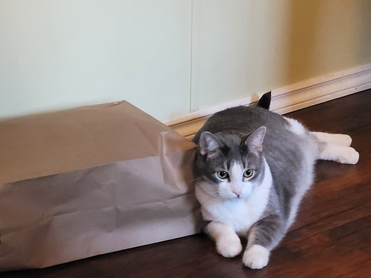 The Fabulous 4 tweet media