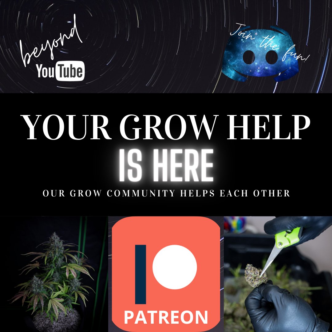 Every day we get messages to help with their plants.
Every day we get to be ourselves with a bunch of cool-ass stoners. 
Every day we get to watch our community grow and have fun along the way!
You think you have what it takes to be a Budz Growmie? 😉
patreon.com/beginnerbudz