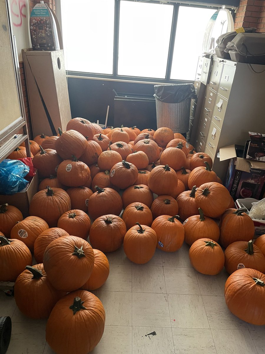 cscrla's tweet photo. @davidnesheim how bout them pumpkins? https://t.co/37hqEVXjBl