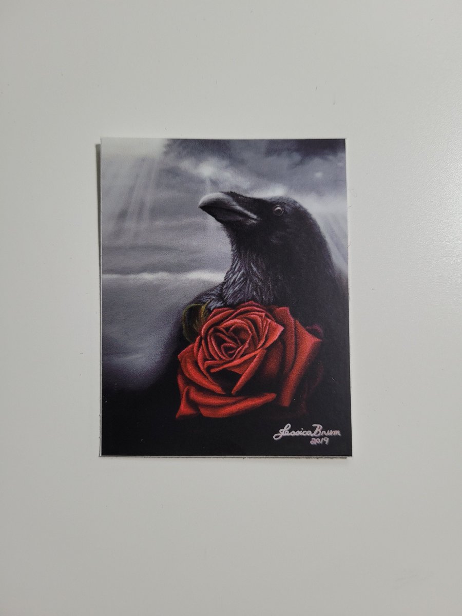 jessicabrumart's tweet image. Excited to share the latest addition to my #etsy shop: Raven Vinyl Sticker, Laptop Sticker, Waterproof Stiker, Die-Cut Stickers etsy.me/3uNVw3r #ravensticker #ravenartsticker #ravenvinylsticker #wildlifestickers #birdartsticker #ravenrosesticker #ravenandrose #