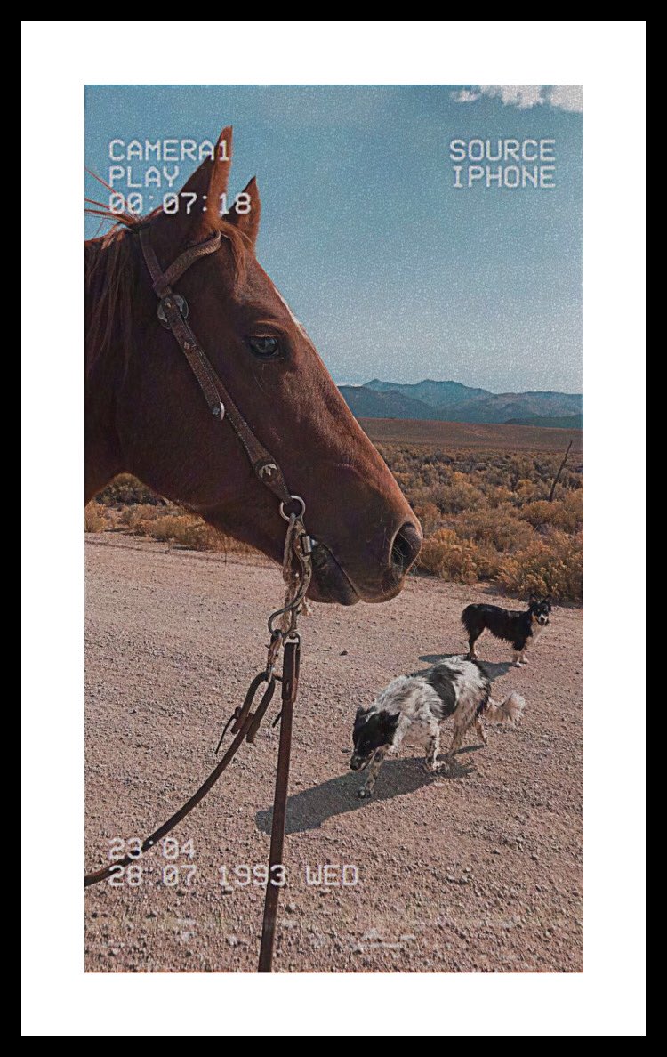 Being alone is sketchy for the first two day, then you get over the missing someone and kinda go on numb ig then it all goes back into the circle 🦋🔆