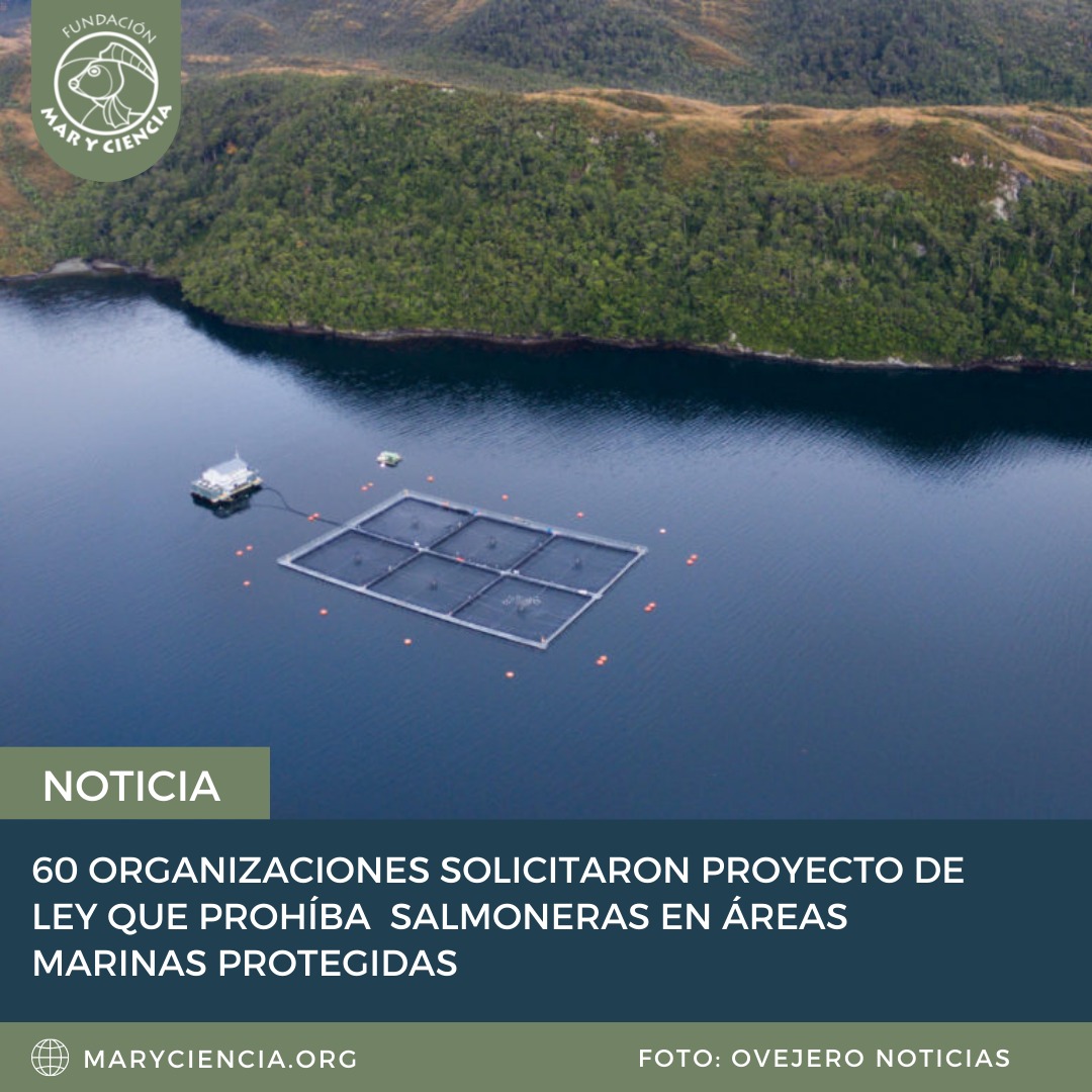 Estamos dentro de los organismos firmantes, tenemos nuestras convicciones claras respecto al cuidado del océano y medio ambiente.

Te invitamos a leer la nota completa de <a href="/eldesconcierto/">El Desconcierto</a> 

eldesconcierto.cl/sociedad-colab…