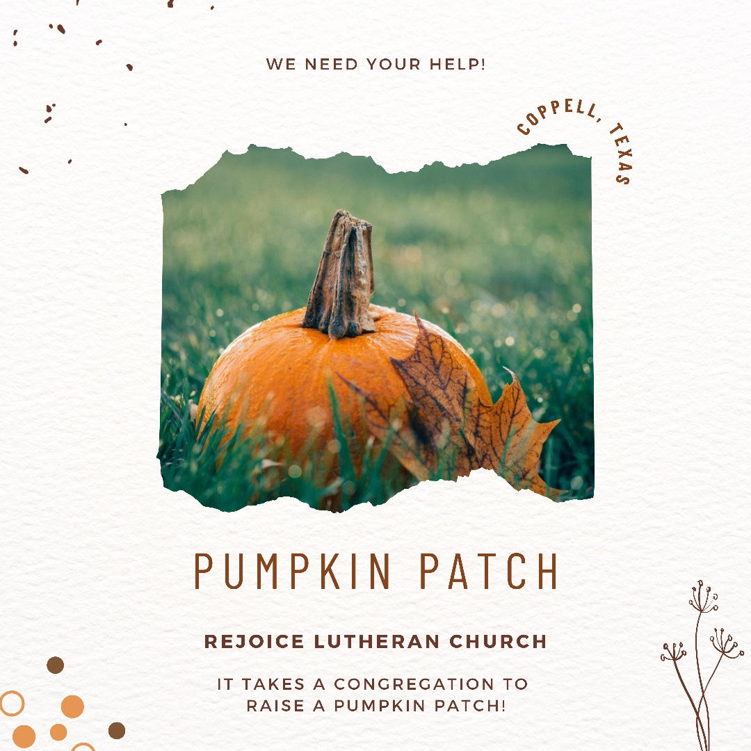 rejoicecoppell's tweet photo. The pumpkins arrive in 3 days and we need your help! Visit here to see the many different ways you can help out at our 27th annual Pumpkin Patch: https://t.co/VkD0Rqy33H
#rejocielife #rejoicecoppell #volunteer #pumpkinpatchcoppell #coppelltx #coppellpumpkinpatch #pumpkins #elca https://t.co/BTI6B7QW8X