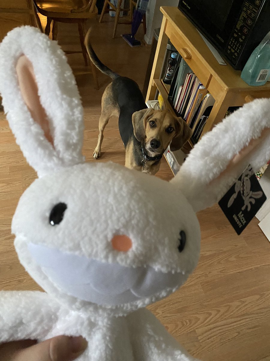 BrianaRod0709's tweet photo. So… I finally cracked and went on eBay… and looked who came home. 🐇
#samandmaxfreelancehusbands #samandmax #maxplush #samandmaxfreelancepolice https://t.co/6Si9CmGwNA