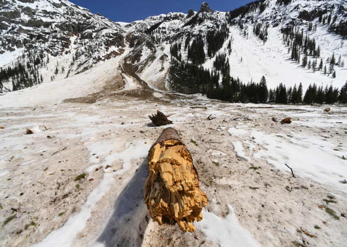 avyschool's tweet photo. 4SAW HAS SOLD OUT!! We are offering a Virtual Option https://t.co/OefHJbvwCa
#avyschool #silvertonavalancheschool #mountainlife #avalanche #snow #visitsilverton #silverton  #sanjuans #4saw #LiveLikeLivia15 https://t.co/OyEJd0Sy9O