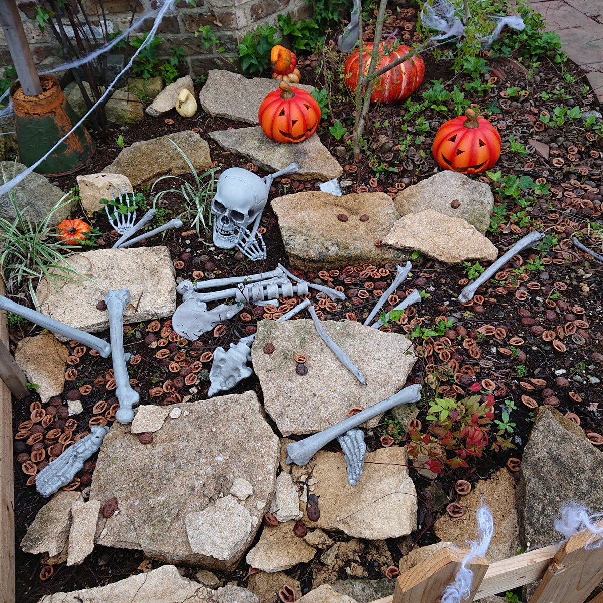 tomopitcher's tweet photo. 元住吉のボウクス(内装屋さん?)のハロウィンデコが気合いはいってて息子も大喜び https://t.co/rpikGpttKq