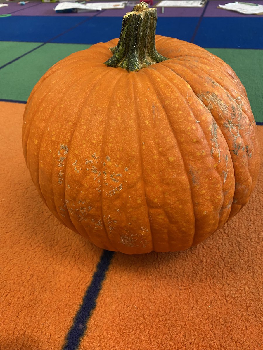 Courtney Santore tweet media