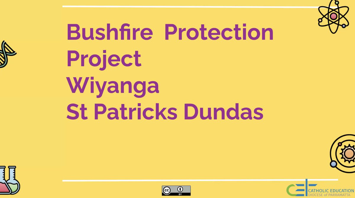 Lisa Nash tweet media