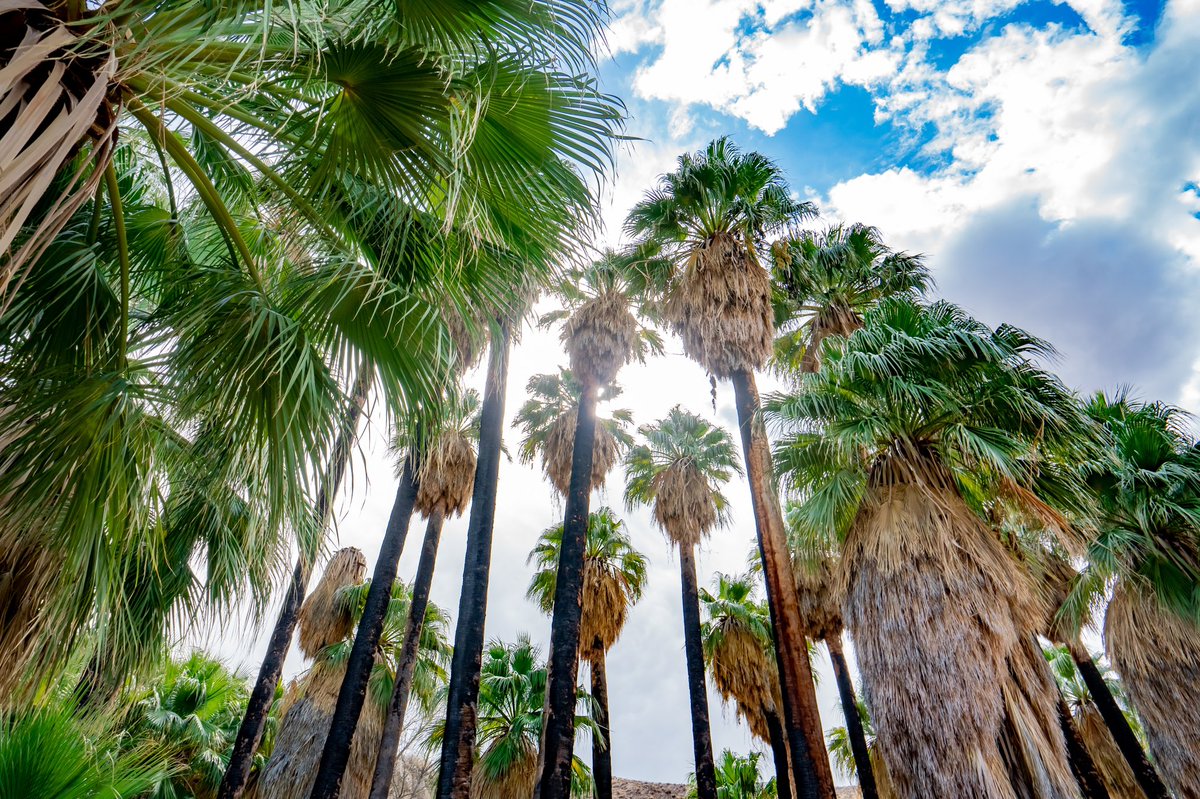 kcs____X's tweet image. Knocked out one more hike before my drive back to Nebraska. This did not disappoint 🤸🏼‍♂️