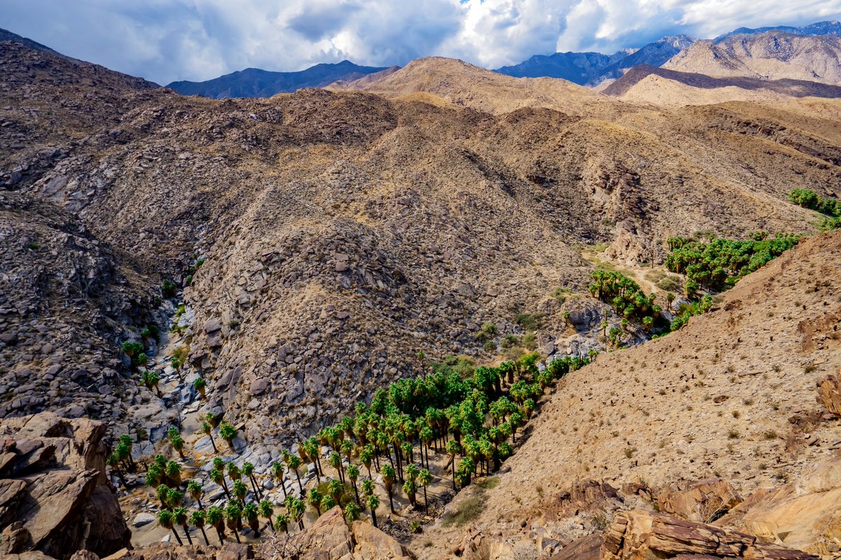 kcs____X's tweet image. Knocked out one more hike before my drive back to Nebraska. This did not disappoint 🤸🏼‍♂️