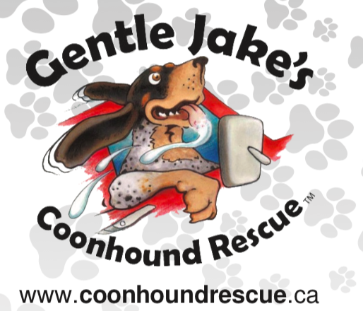 GentleJakesCoonhoundRescue tweet media