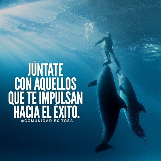 Trading2080's tweet photo. Sigue a todos los que dejen su MG ❤️ y a los que RT 🔄 este Tuit, para ganar seguidores 🔥
Follow x Follow 💥🆗 https://t.co/RsBb8qP1wn