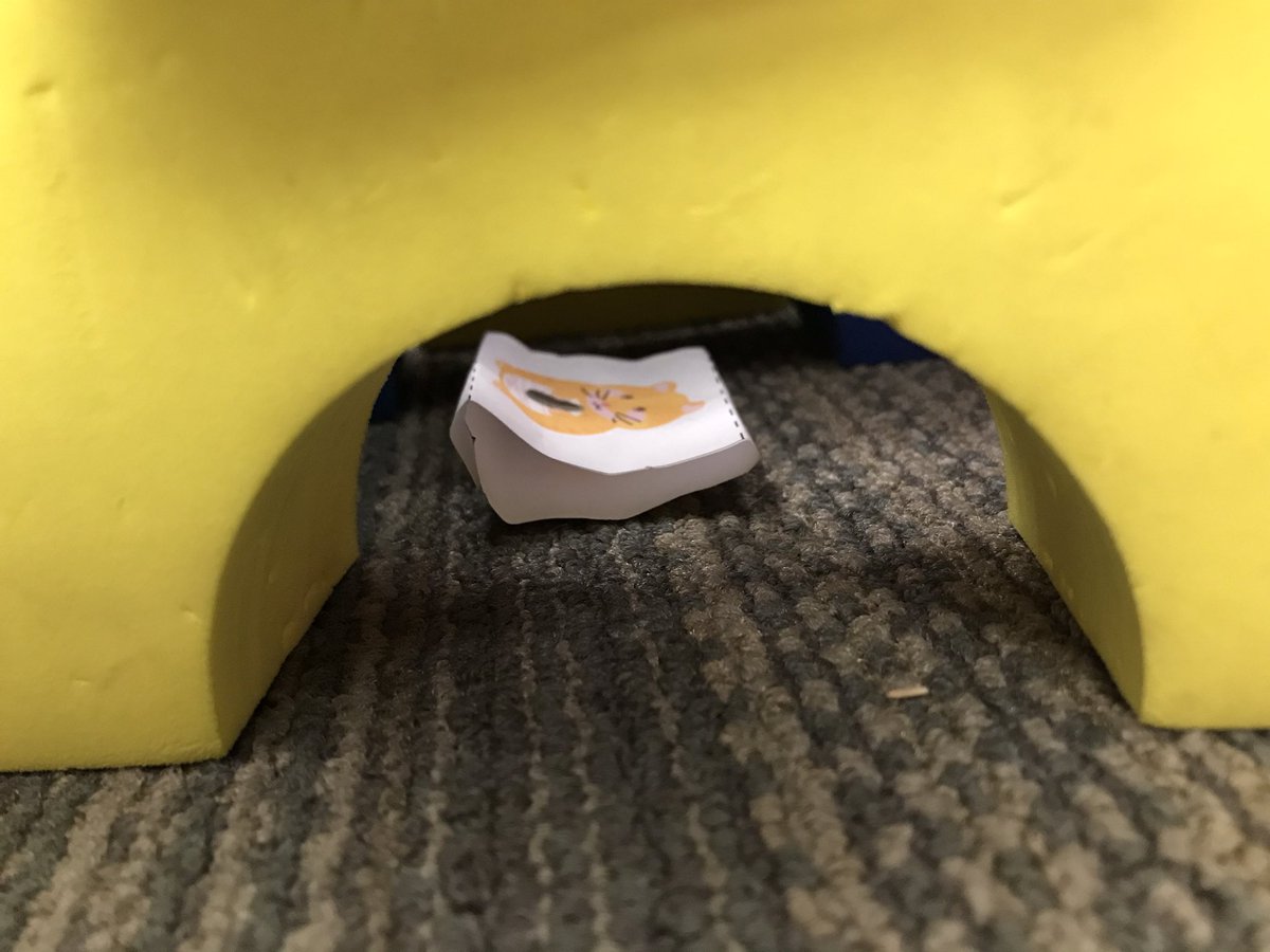 Josie Scherrman (@josie_scherrman) on Twitter photo During our study of pets we became engineers and built a shelter for our pets. The shelter had to provide an entrance/exit, safety and room to move <a href="/MahaffeyKISD/">Mahaffey Elementary</a> #kleinprek During our study of pets we became engineers and built a shelter for our pets. The shelter had to provide an entrance/exit, safety and room to move <a href="/MahaffeyKISD/">Mahaffey Elementary</a> #kleinprek