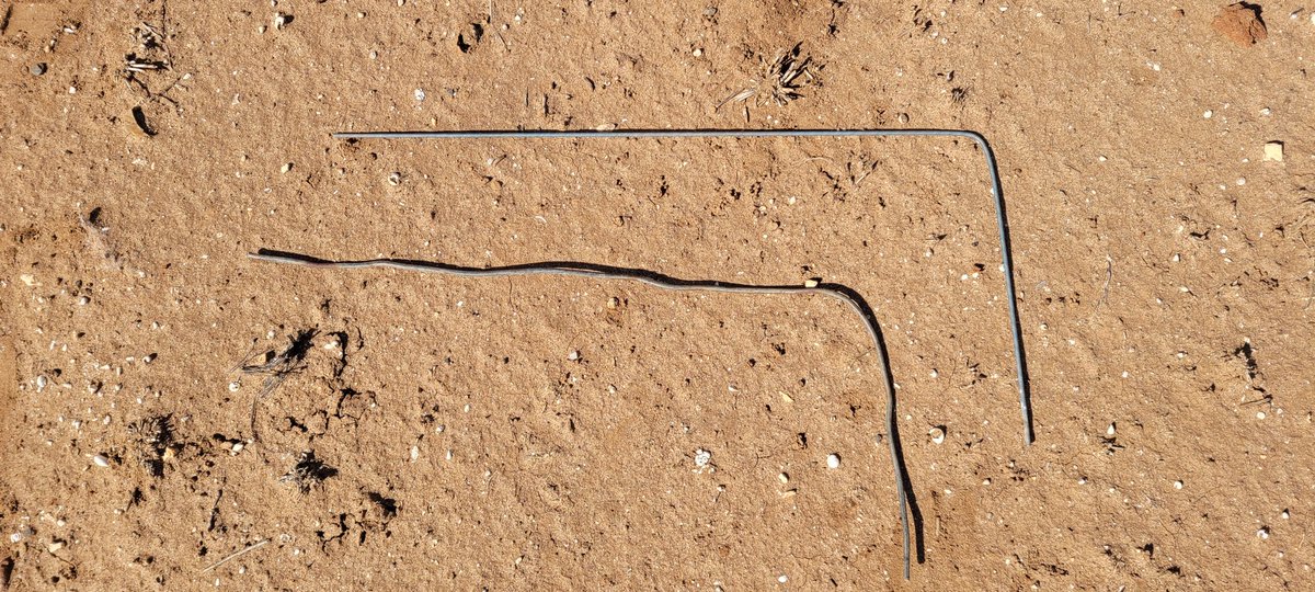 Corbin Schuster tweet media