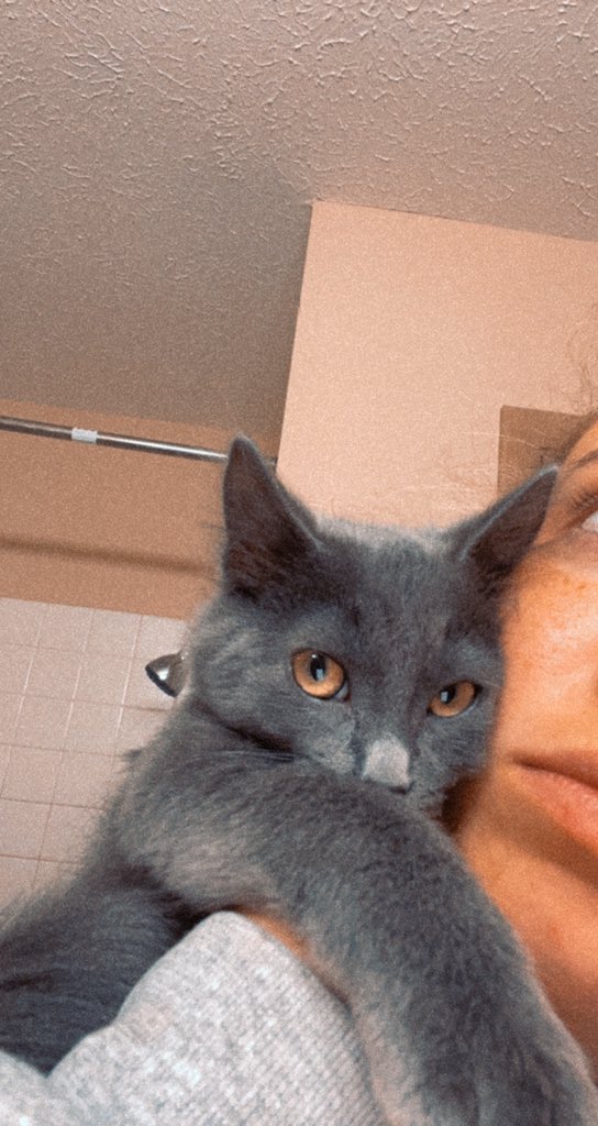 b0bbij0_'s tweet photo. i deleted all my social media except twitter so where else am i gonna post salem 🥺💜 https://t.co/2IKXfgsyGT