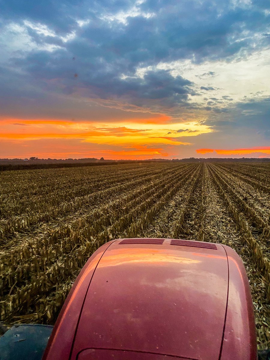 Jenna Martin tweet media