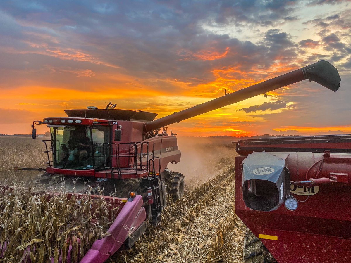 Jenna Martin tweet media