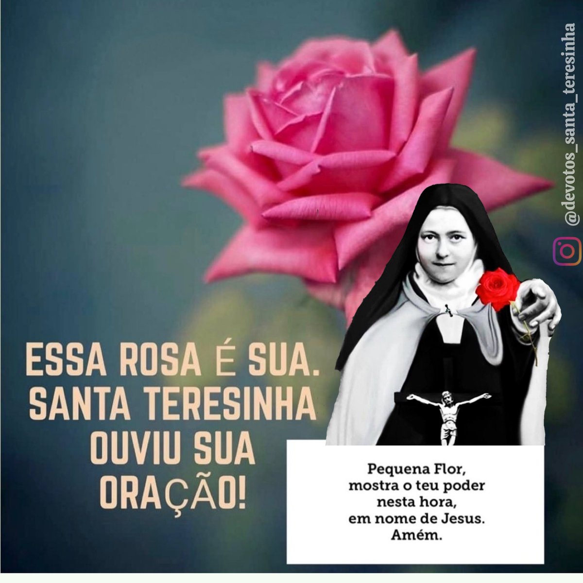 NSenhoraRosario's tweet photo. RECEBA SUA ROSA! 🙏❤️🌷🌹🌷🌹🌷🌹🌷🌹🌷🌹🌷🌹🌷🌹🌷🌹🌷🌹🌷🌹🌷 https://t.co/kzWHsQrVhr
