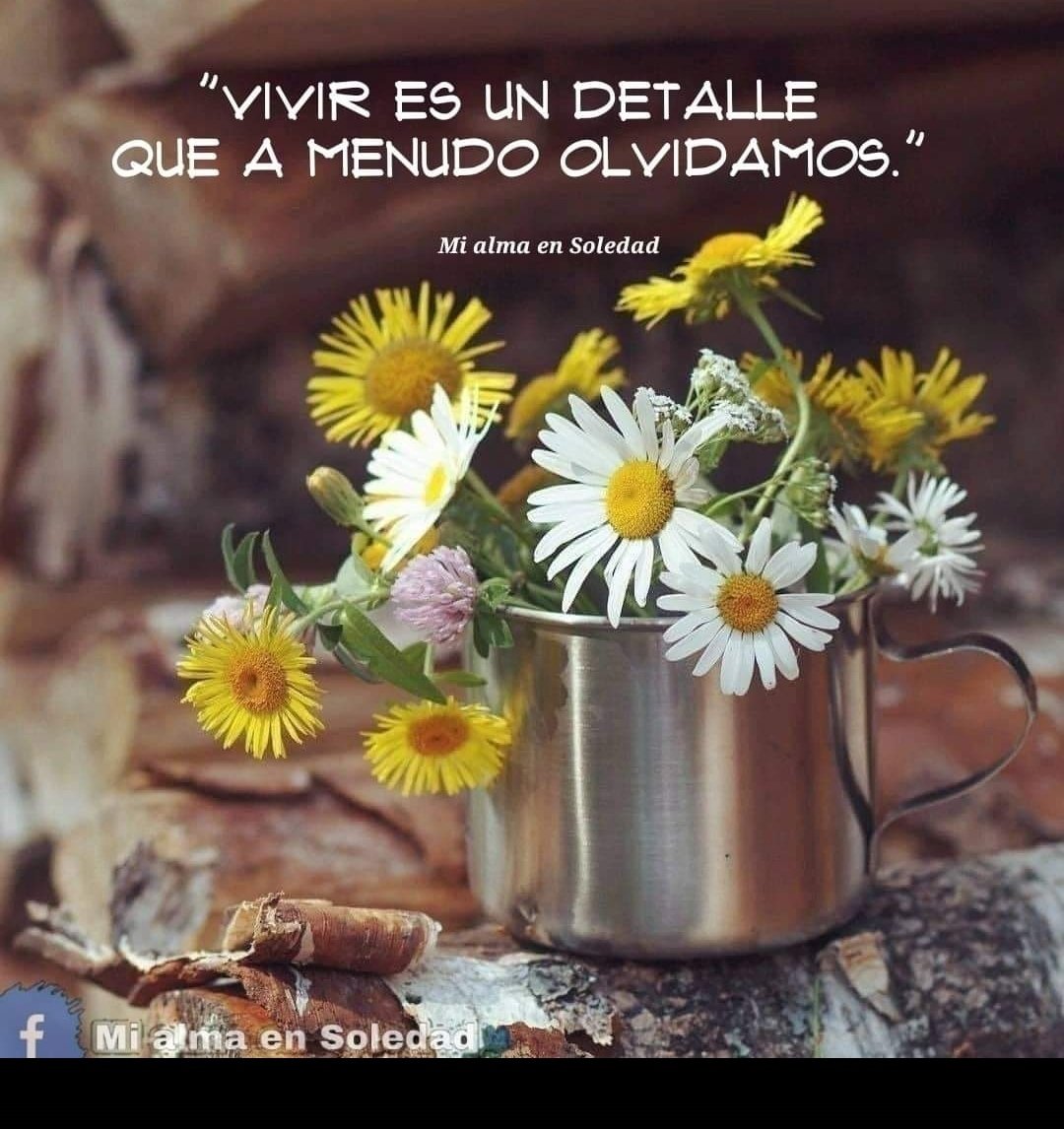 Isabel_ on Twitter: Isabel_ on Twitter: