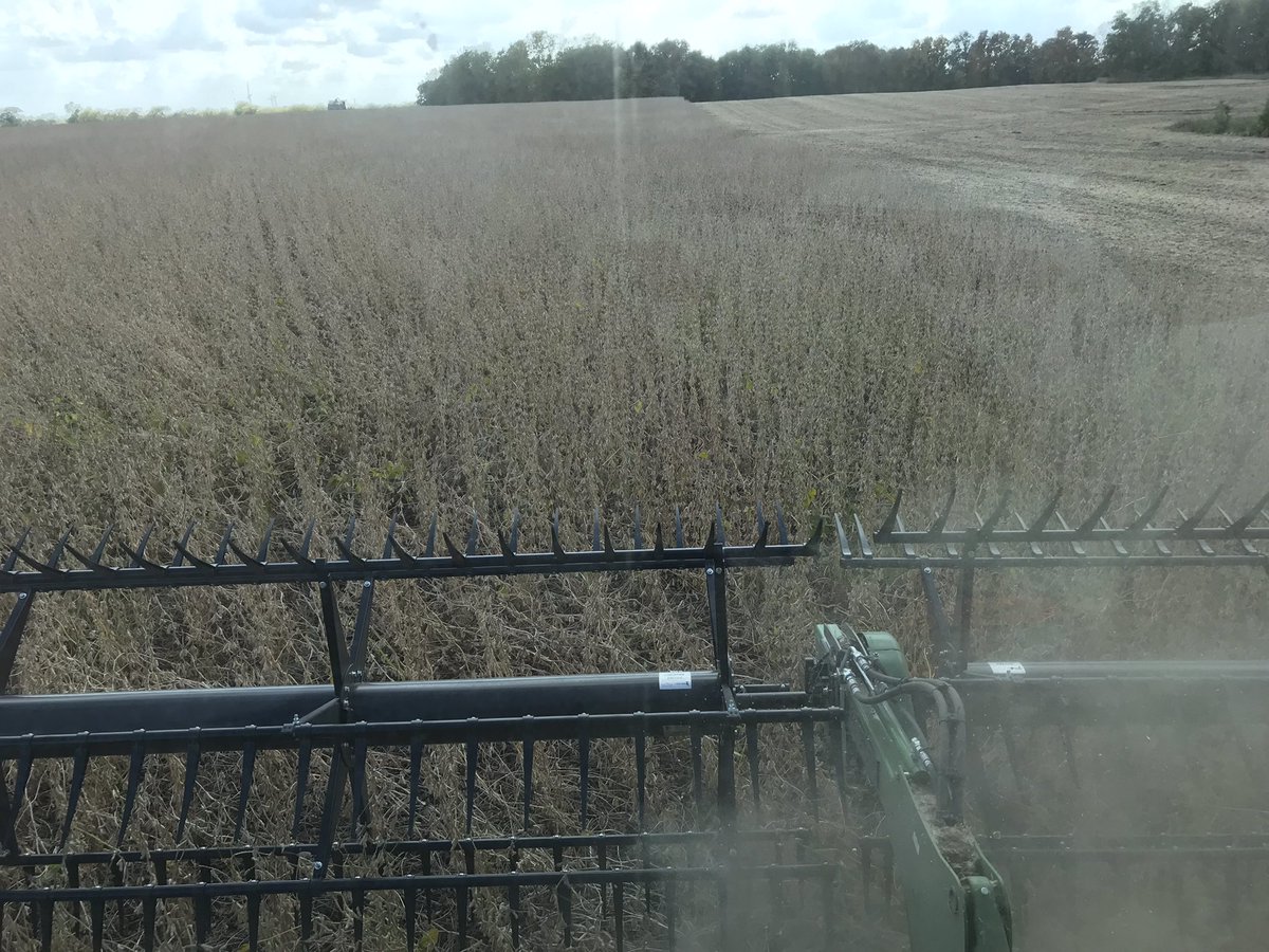 Meaghan Anderson tweet media