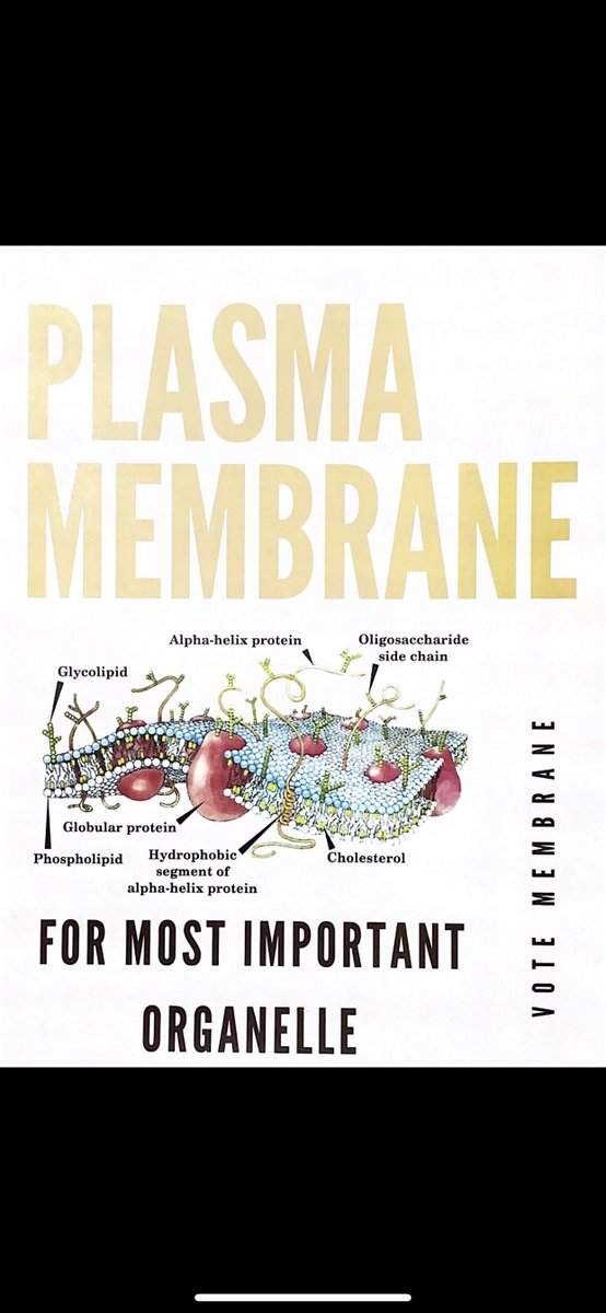 Vote__Membrane's tweet photo. #organellewars #hardfacts https://t.co/MzzvPMRP6e